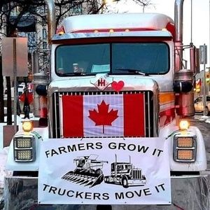 Meet your Posher, Stef